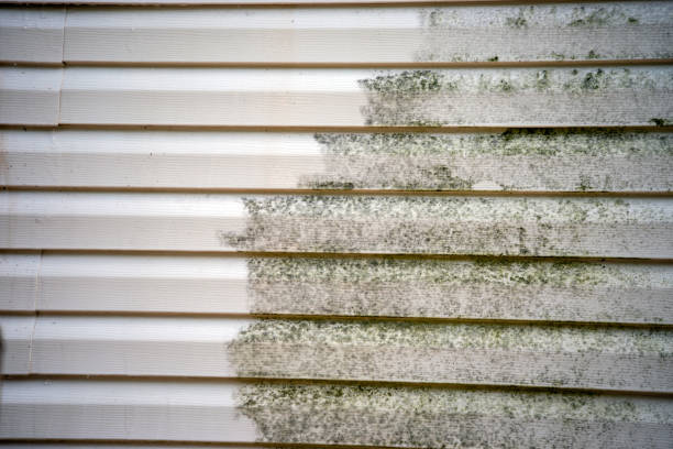 Best Construction Debris Removal  in New Hackensack, NY
