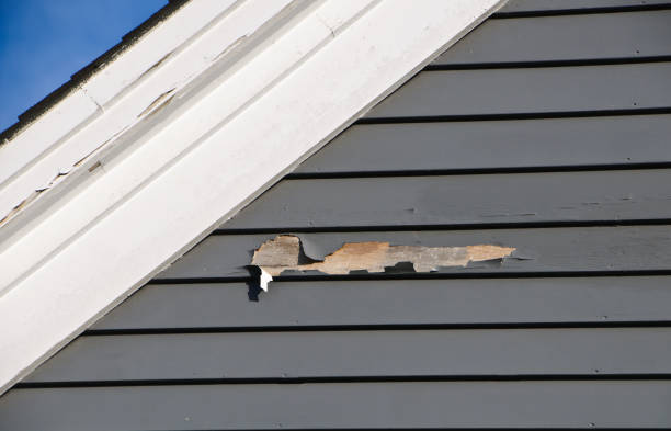 Trusted New Hackensack, NY Junk Removal Experts